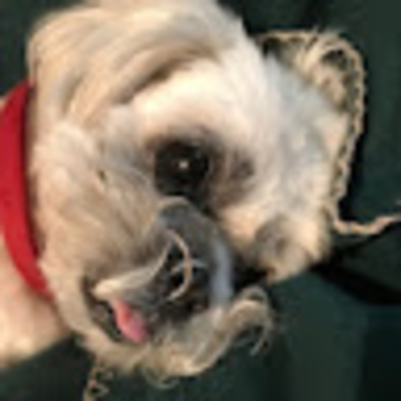 Meet your Posher, Jen - Picture 1 of 1